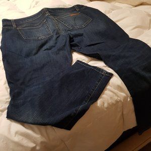 Joe Jean's- skinny ankle size 32W